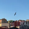 Praça do Rossio, Lisbon, Portugal · 19 May 2026